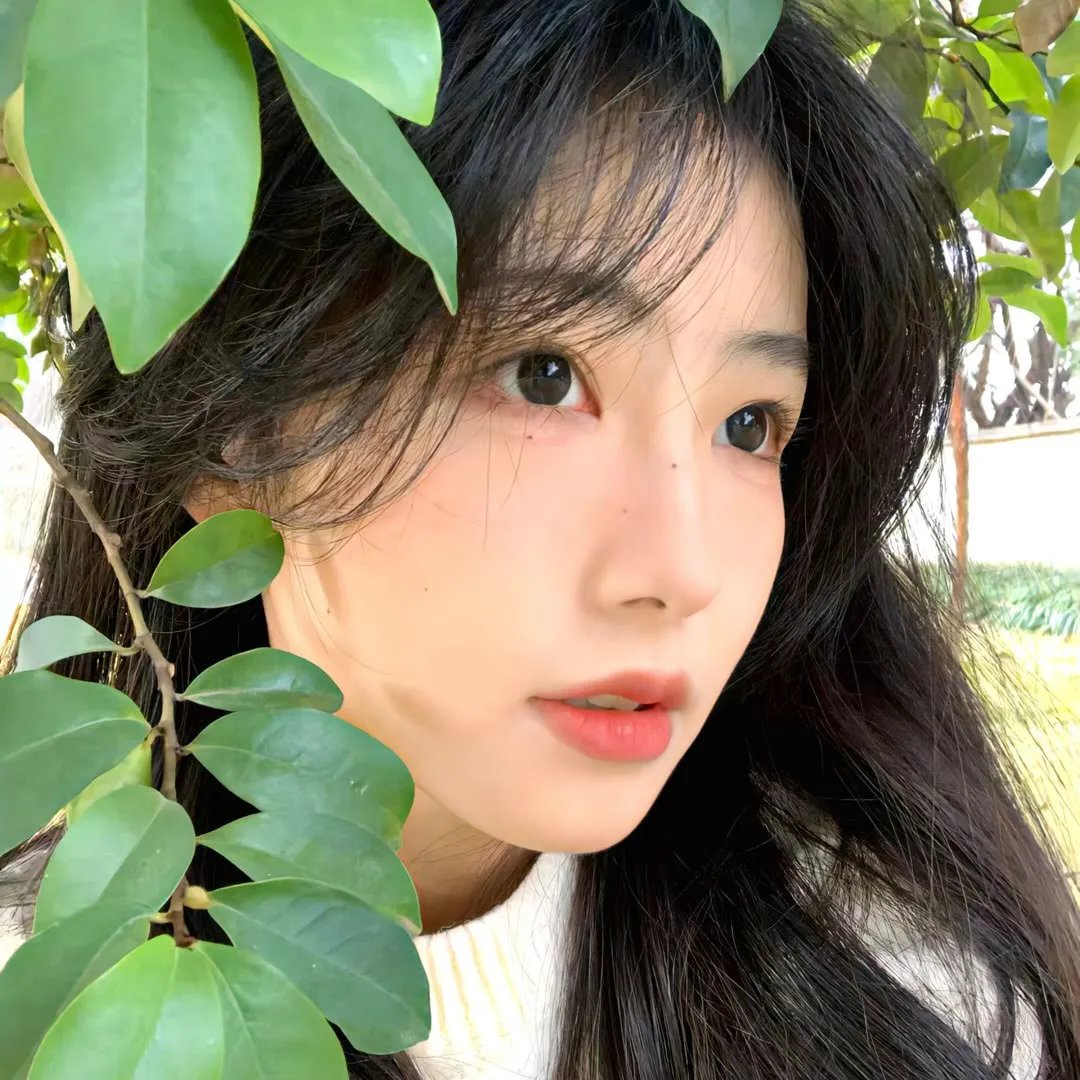 秋光乍泄